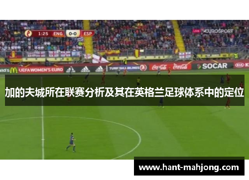 加的夫城所在联赛分析及其在英格兰足球体系中的定位 加的夫城所在联赛分析及其在英格兰足球体系中的定位